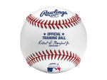 Rawlings Level 5 Training Ball