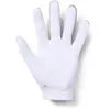UNDER ARMOUR Men's Medal Golf Glove